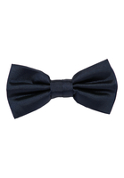 Strikje in navy vlakte