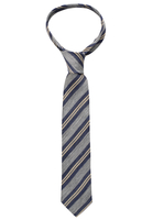 Stropdas in blauw gestreept