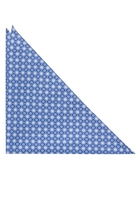 ETERNA EINSTECKTUCH BLAU BEDRUCKT