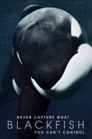 Blackfish