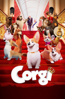 Corgi NL