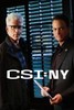 CSI: New York 9.15 - Seth and Apep