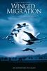 Winged Migration