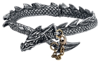 Alchemy Gothic - Dragons Lure - Armband - Mannen - zilverkleurig