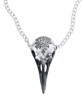 Alchemy Gothic - Volvan Raven Skull - Halsketting - Unisex - zilverkleurig