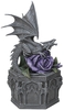Anne Stokes - Dragon Beauty Box - beeld - Unisex - grijs paars