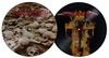 Bathory - Requiem - LP - Unisex - Foto