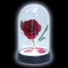 Beauty and the Beast - Enchanted Rose - Lamp - Unisex - multicolor