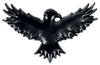 Black Premium by EMP - Black Crow - Badge - Vrouwen - zwart