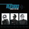 Buzzcocks - Sonics in the soul - CD - Unisex - multicolor