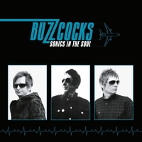 Buzzcocks - Sonics in the soul - CD - Unisex - multicolor
