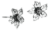 etNox - Wild Flower - Oorbellenset - Vrouwen - multicolor