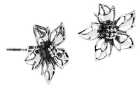 etNox - Wild Flower - Oorbellenset - Vrouwen - multicolor