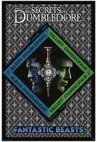 Fantastic Beasts - Phantastische Tierwesen 3 - Dumbledore vs Grindelwald - Poster - Unisex - meerkleurig