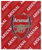 FC Arsenal London - Kuschelige Plüschdecke - Dekens - Unisex - meerkleurig