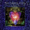 Flower Kings,  The - Space revolver - CD - Unisex - multicolor