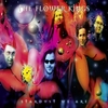 Flower Kings,  The - Stardust we are - CD - Unisex - multicolor