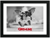 Gremlins - Gizmo - Ingelijste Afbeelding - Unisex - multicolor