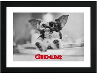 Gremlins - Gizmo - Ingelijste Afbeelding - Unisex - multicolor