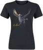 Harry Potter - Buckbeak - T-shirt - Vrouwen - zwart