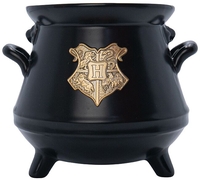 Harry Potter - Cauldron 3D - Kop - Unisex - meerkleurig