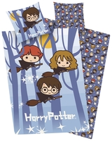 Harry Potter - Flight - Beddengoed - Unisex - meerkleurig