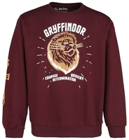 Harry Potter - Gryffindor - Sweatshirts - Mannen - rood