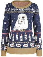 Harry Potter - Hedwig - Christmas jumper - Vrouwen - meerkleurig