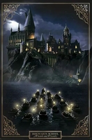 Harry Potter - Hogwarts Castle - Poster - Unisex - meerkleurig