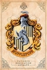 Harry Potter - Hufflepuff - Poster - Unisex - multicolor