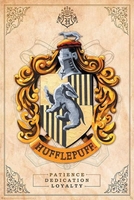 Harry Potter - Hufflepuff - Poster - Unisex - multicolor