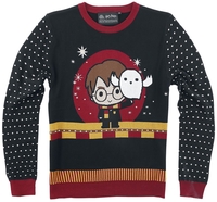 Harry Potter - Kids - Chibi Harry - Sweatshirt - Unisex - meerkleurig