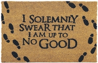 Harry Potter - Solemly Swear - Deurmat - Unisex - meerkleurig