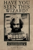 Harry Potter - Wanted Sirius Black - Poster - Unisex - meerkleurig
