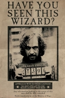 Harry Potter - Wanted Sirius Black - Poster - Unisex - meerkleurig
