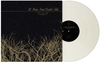 If These Trees Could Talk - If these trees could talk - LP - Unisex - gekleurd