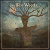 In The Woods - Diversum - CD - Unisex - multicolor