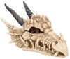 Nemesis Now - Dragon Skull Box - Decoratieve Artikelen - Unisex - multicolor
