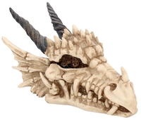 Nemesis Now - Dragon Skull Box - Decoratieve Artikelen - Unisex - multicolor