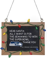 NFL - Seattle Seahawks - Tafelschild - Kerstballen - Unisex - meerkleurig