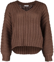 Noisy May - Steve V-Neck Knit - Gebreide trui - Vrouwen - bruin
