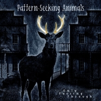Pattern-Seeking Animals - Only passing through - CD - Unisex - multicolor