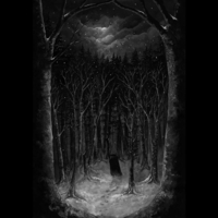Paysage D