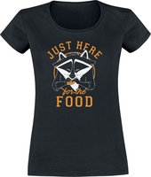 Pocahontas - Meeko - T-shirt - Vrouwen - zwart
