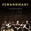 Schandmaul - Sinnfonie - CD - Unisex - multicolor