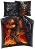 Spiral - Draconis - Beddengoed - Unisex - meerkleurig
