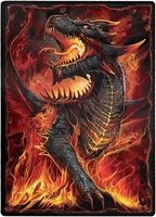 Spiral - Draconis - Snijplank - Unisex - meerkleurig