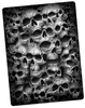 Spiral - Twisted Skulls - Dekens - Unisex - meerkleurig