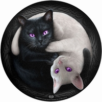 Spiral - Ying Yang Cats - Snijplank - Unisex - meerkleurig