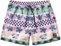 Vans - CALIFORNIA STRIPE VOLLEY,  Stranger Things x Vans - Korte broek - Mannen - meerkleurig